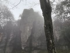 -山王坪喀斯特国家生态公园