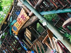 -北京呀路古热带植物园