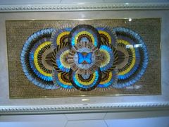 android_upload_pic-上海昆虫博物馆