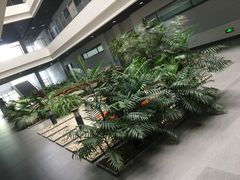 -同济大学(嘉定校区)