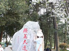 -武汉大学-樱园