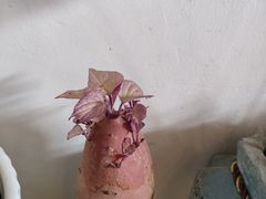 -山也·私厨(岳麓店)