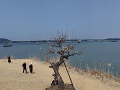 -香雪海