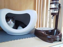 -小小班私人影院·猫咖(万达茂广场店)