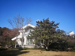 -上海市保健医疗中心