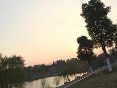 -羊山湖公园
