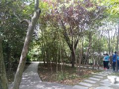 -城市运动公园(未央区)