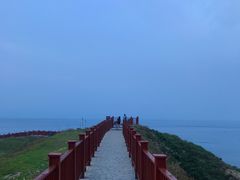 -枸杞岛