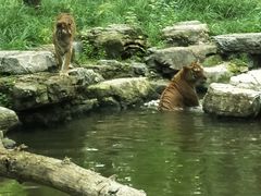 -北京野生动物园