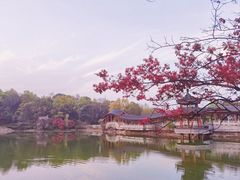-岳麓山风景名胜区