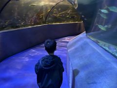 -太平洋海底世界