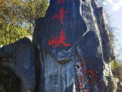 -青峰峡国家森林公园