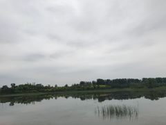 -东郊湿地公园