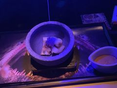 -地球美食剧场