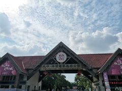 -上海海湾国家森林公园