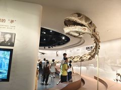 -自贡恐龙博物馆