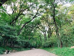 -灵谷景区