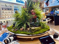 -Sony Store 索尼(来福士店)