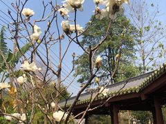 -广州神农草堂中医药博物馆