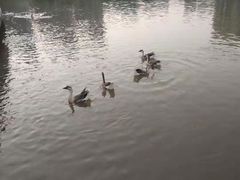 -西安汉城湖景区