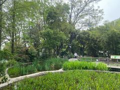 -成都市活水公园