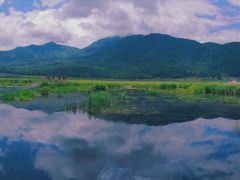 -腾冲北海湿地