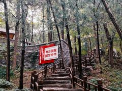 -国家植物园南园