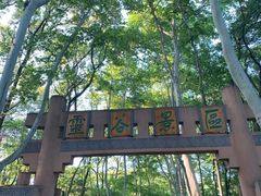 -灵谷景区