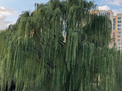 -白塘生态植物园