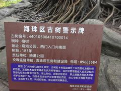 -晓港公园