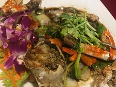 -Daddy Nimman Chiang Mai