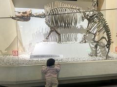 -国家自然博物馆