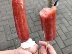 -无锡动物园·太湖欢乐园