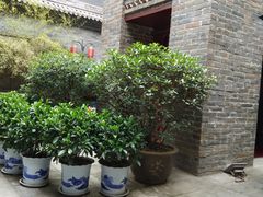 -醉长安(南门总店)