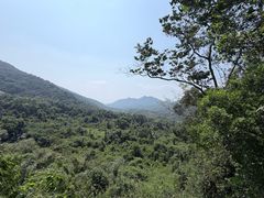 -霸王岭国家森林公园