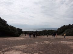 iphone_upload_pic-鹅銮鼻公园