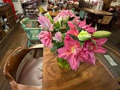 -六月花园咖啡馆(中关村东路店)