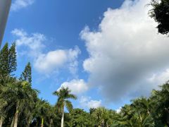 -深圳仙湖植物园