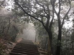 -西湖风景区十里琅珰-五云山