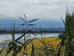 -西昌邛海湿地