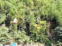 -将军关探险漂流