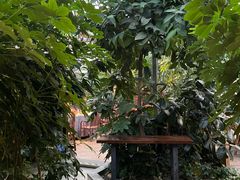 -金稼园·金平湖农家菜