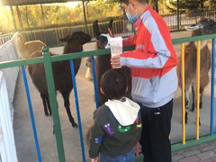 -鄂尔多斯野生动物园