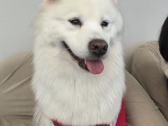 -怪兽屋·羊驼·猫咖·狗咖(俊华广场店)