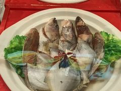 -邵年鸽(杨庄店)