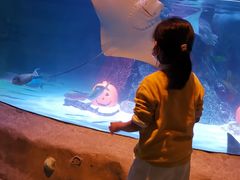 -沈阳海洋探索中心