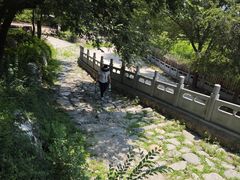 -阳台山自然风景区