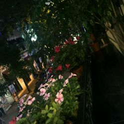 android_upload_pic-3AM HAIR SALON烫发染发接发