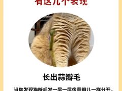 -泰洋动物医院·神经专科·磁共振·CT(天河公园总院)
