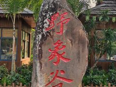 -野象谷景区